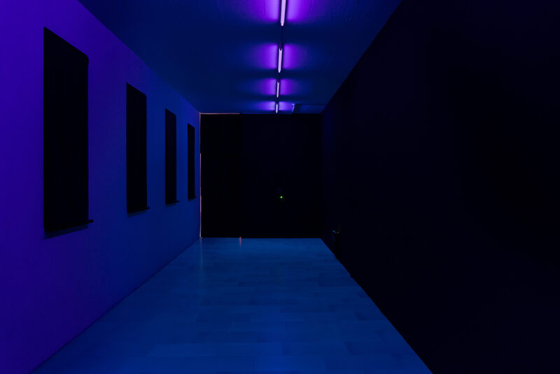 Installation view of Fieldworks at La Rada