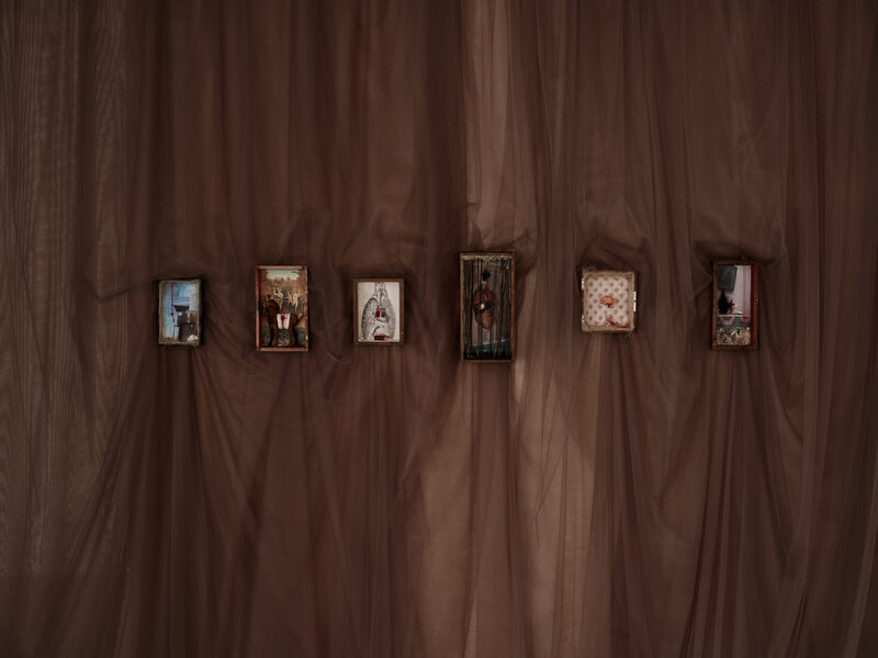 Installation detail from The Wild Gene at Trotoar Gallery